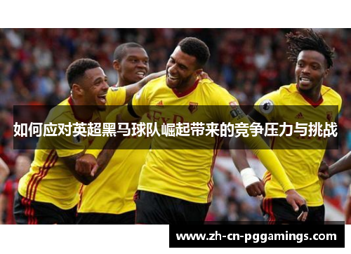 如何应对英超黑马球队崛起带来的竞争压力与挑战