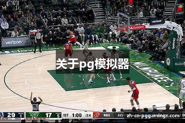 关于pg模拟器